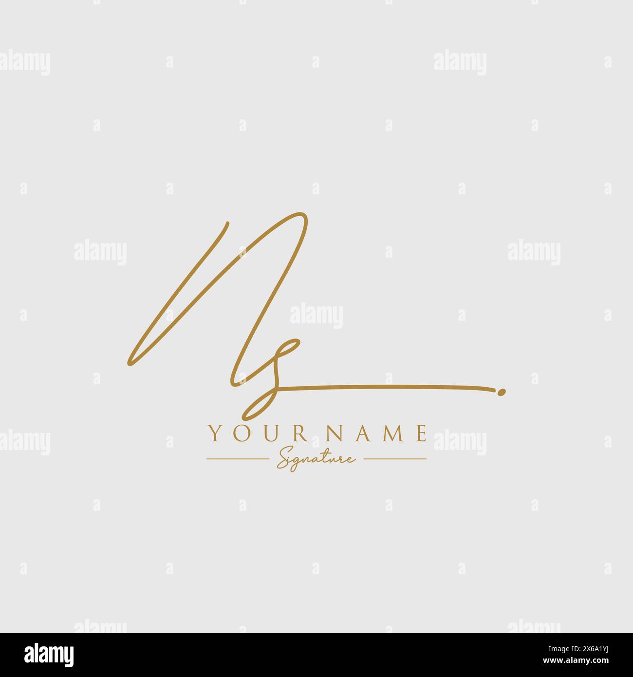 Modello con logo Signature NS Illustrazione Vettoriale