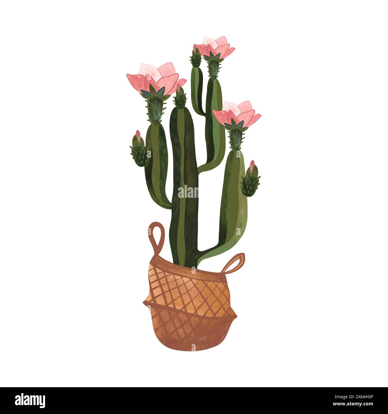 Cactus in un cestino di vimini. Piante per la casa. Floricoltura. Decorazione degli interni. Illustrazione ad acquerello isolata su sfondo bianco. Clipart. Foto Stock