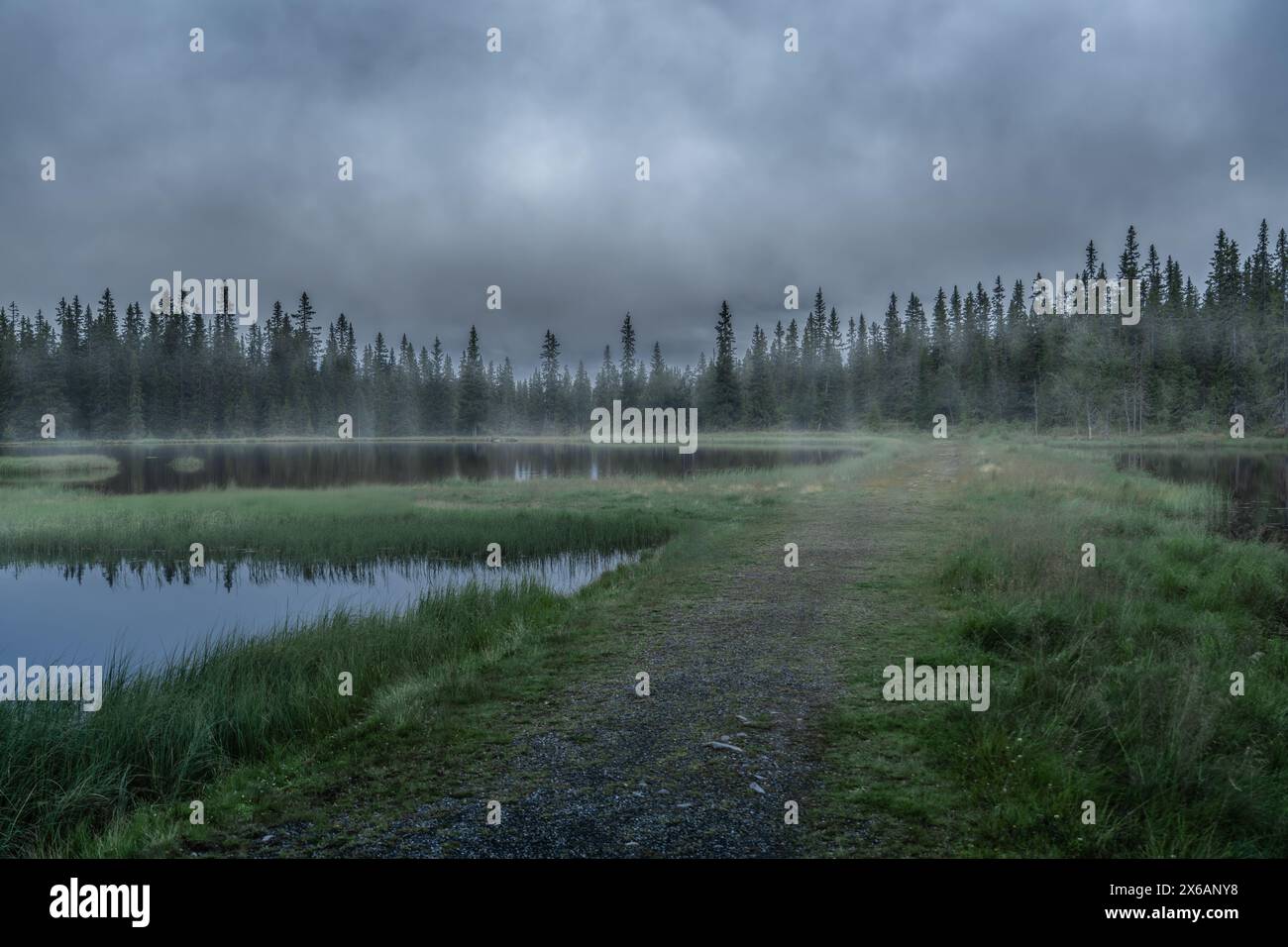 Mattina nebbiosa presso il tranquillo lago di Sjusjøen, Norvegia - tranquillo risveglio della foresta. La nebbia si innalza al mattino presto su uno stagno fermo circondato da fitti boschi Foto Stock