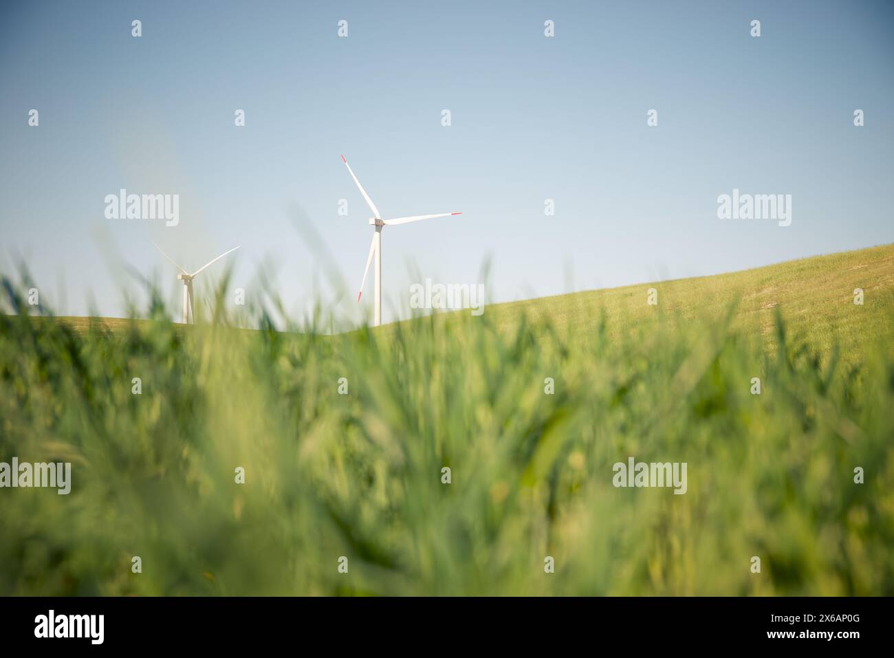 Generatore eolico per la produzione di energia elettrica rinnovabile Foto Stock