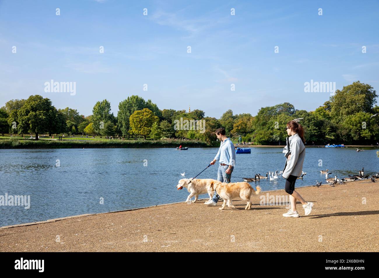 Hyde Park London The Serpentine, giovane coppia di uomini e donne degli anni '30 che cammina con i loro cani Labrador accanto al lago, giorno di sole di Londra, Inghilterra, Regno Unito, 2023 Foto Stock