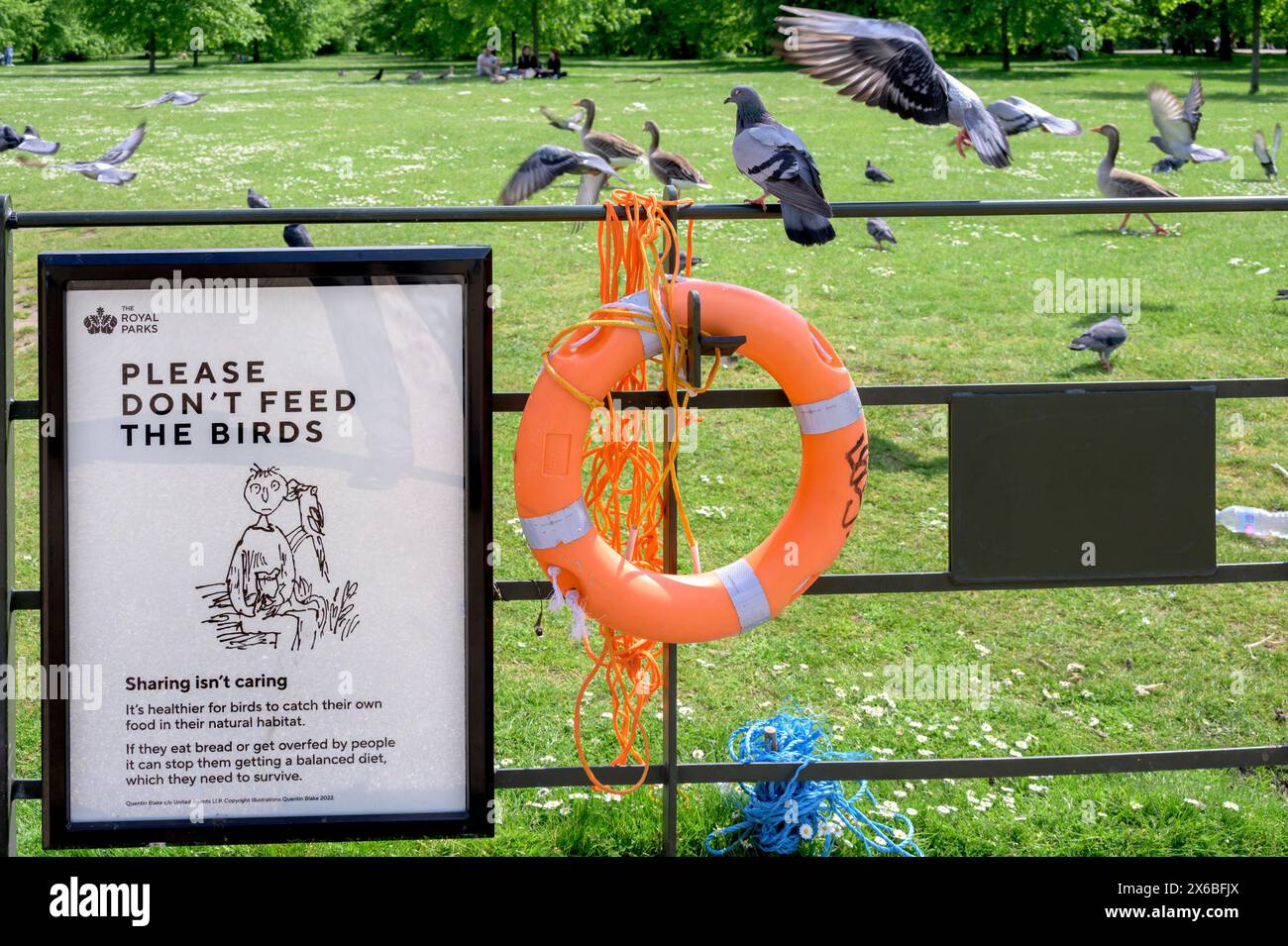 Londra, Regno Unito. Si prega di non dare da mangiare all'insegna degli uccelli nei Kensington Gardens, con gli uccelli. Foto di Quentin Black Foto Stock