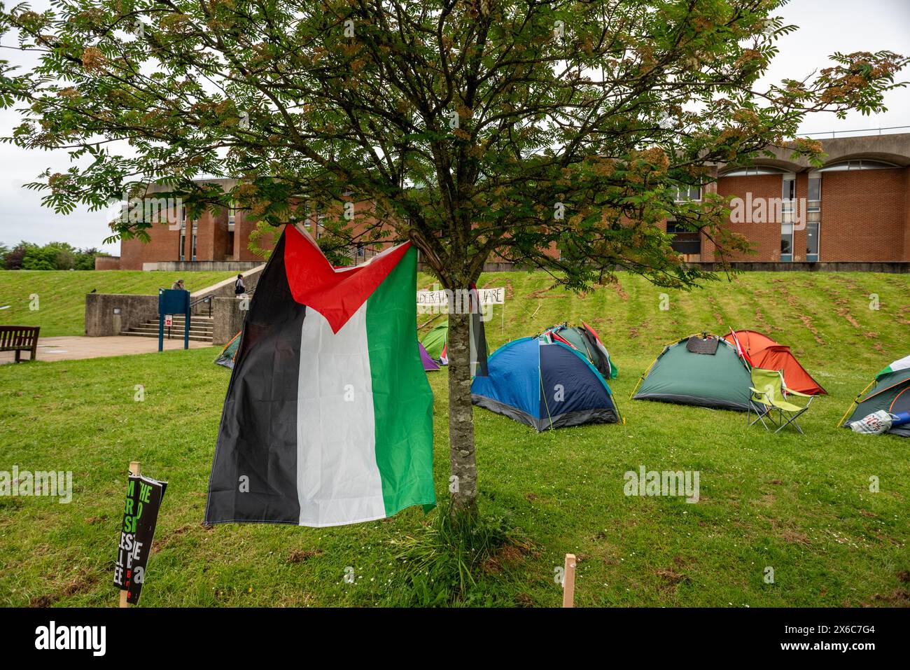 Brighton, 14 maggio 2024: Accampamento tenda in piazza della Biblioteca presso l'Università del Sussex, eretto da studenti che protestano contro la situazione attuale in Israele / Palestina / Gaza credito: Andrew Hasson / Alamy Live News Foto Stock