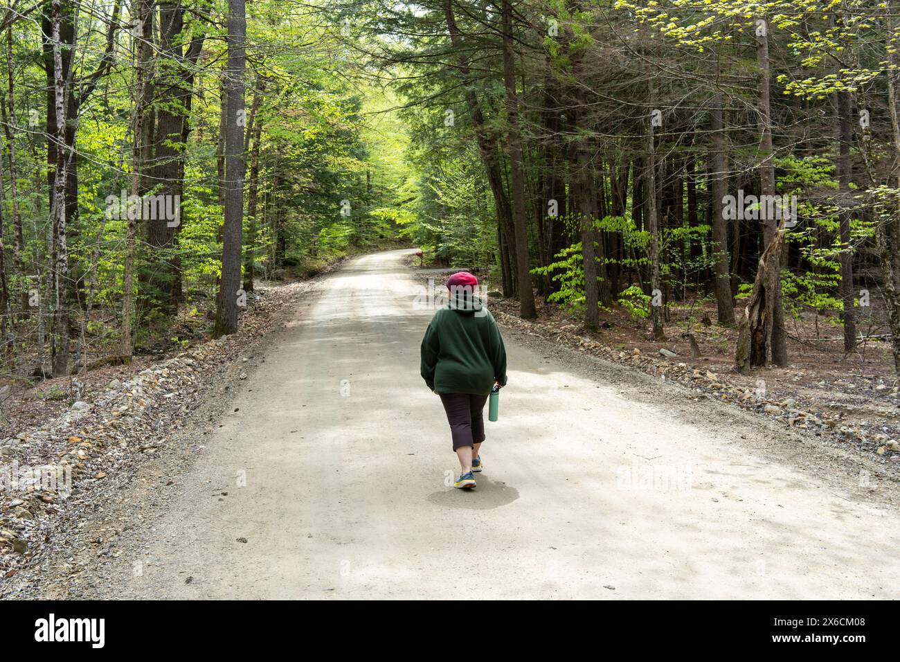 Una strada sterrata in una foresta con alberi su entrambi i lati. La strada ha una donna che si allontana dalla macchina fotografica con il sole soffocato Foto Stock