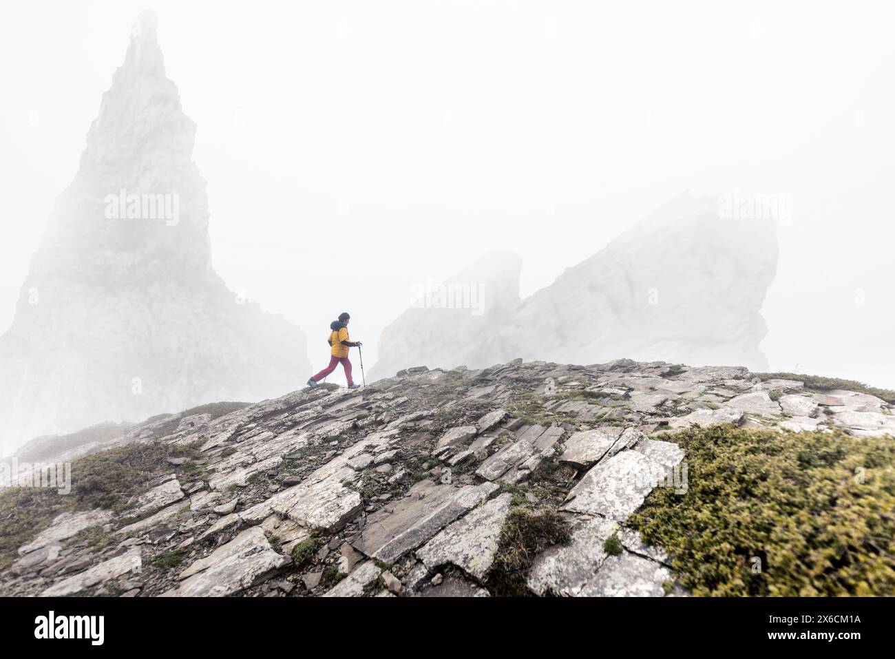 donna che cammina sulla montagna nella nebbia con abiti rosa e gialli, bastoncini da passeggio, rocce e piante verdi. spedizione in montagna con il maltempo Foto Stock