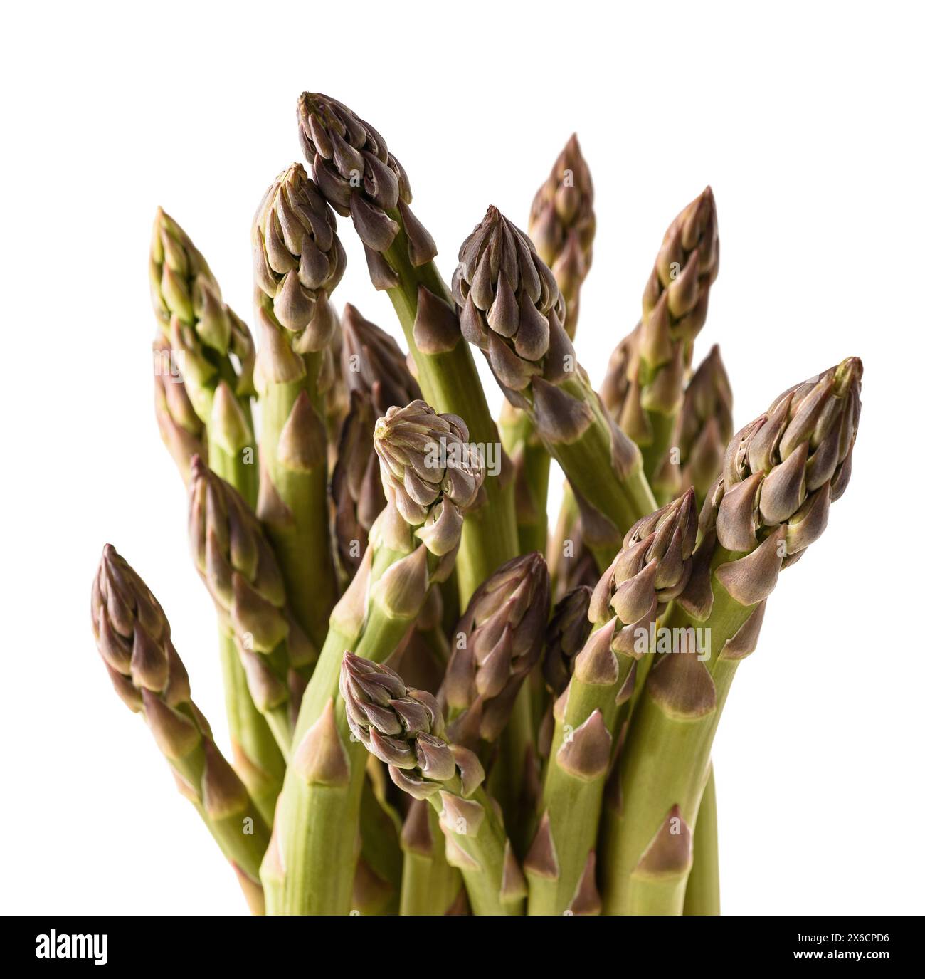 Mazzo di asparagi freschi isolato su sfondo bianco Foto Stock