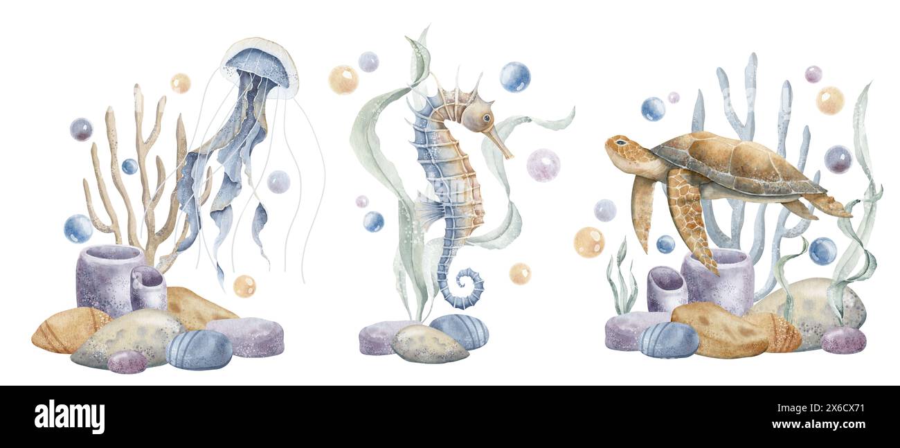 Composizioni di acquerelli con cavalluccio marino e tartaruga marina con alghe e bolle su sfondo isolato. Illustrazione di Sea Horse e meduse. Disegno di vita subacquea per poster o logo. Foto Stock