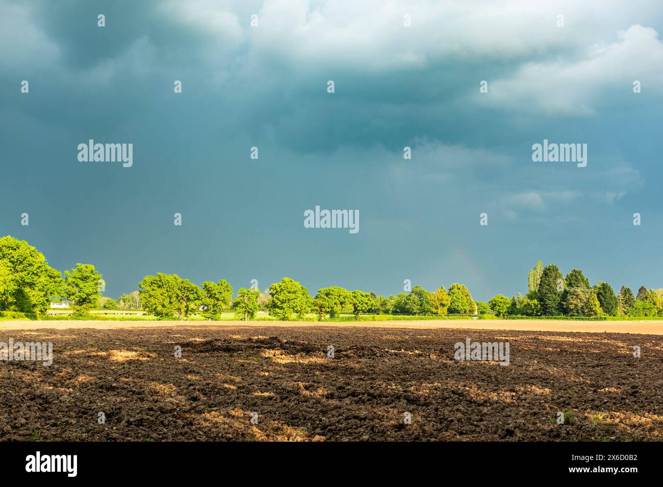 Cieli tempestosi su un campo arato illuminato in primo piano, Regno Unito Foto Stock