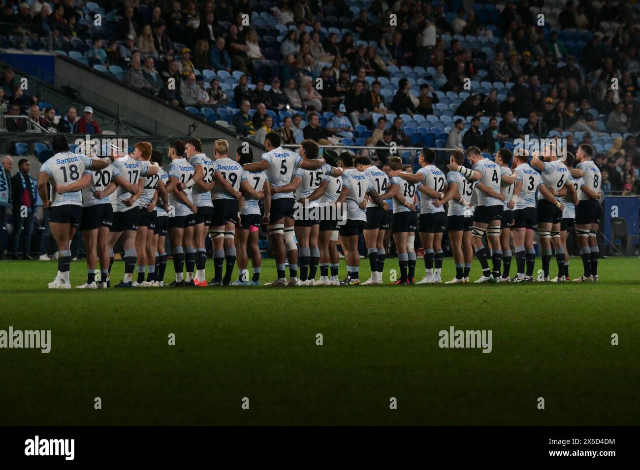 La squadra dei NSW Waratahs si è vista durante il Super Rugby Pacific match del 2024 tra NSW Waratahs e ACT Brumbies all'Allianz Stadium. Punteggio finale; NSW Waratahs 21:29 ACT Brumbies. Foto Stock