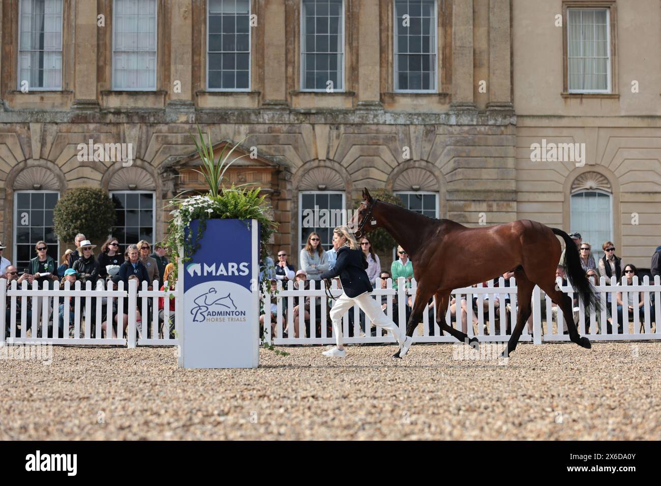 Louise Harwood di Gran Bretagna con Native Spirit durante la seconda ispezione di cavalli a Badminton Horse Trials il 12 maggio 2024, Badminton Estate, Regno Unito (foto di Maxime David - MXIMD Pictures) Foto Stock