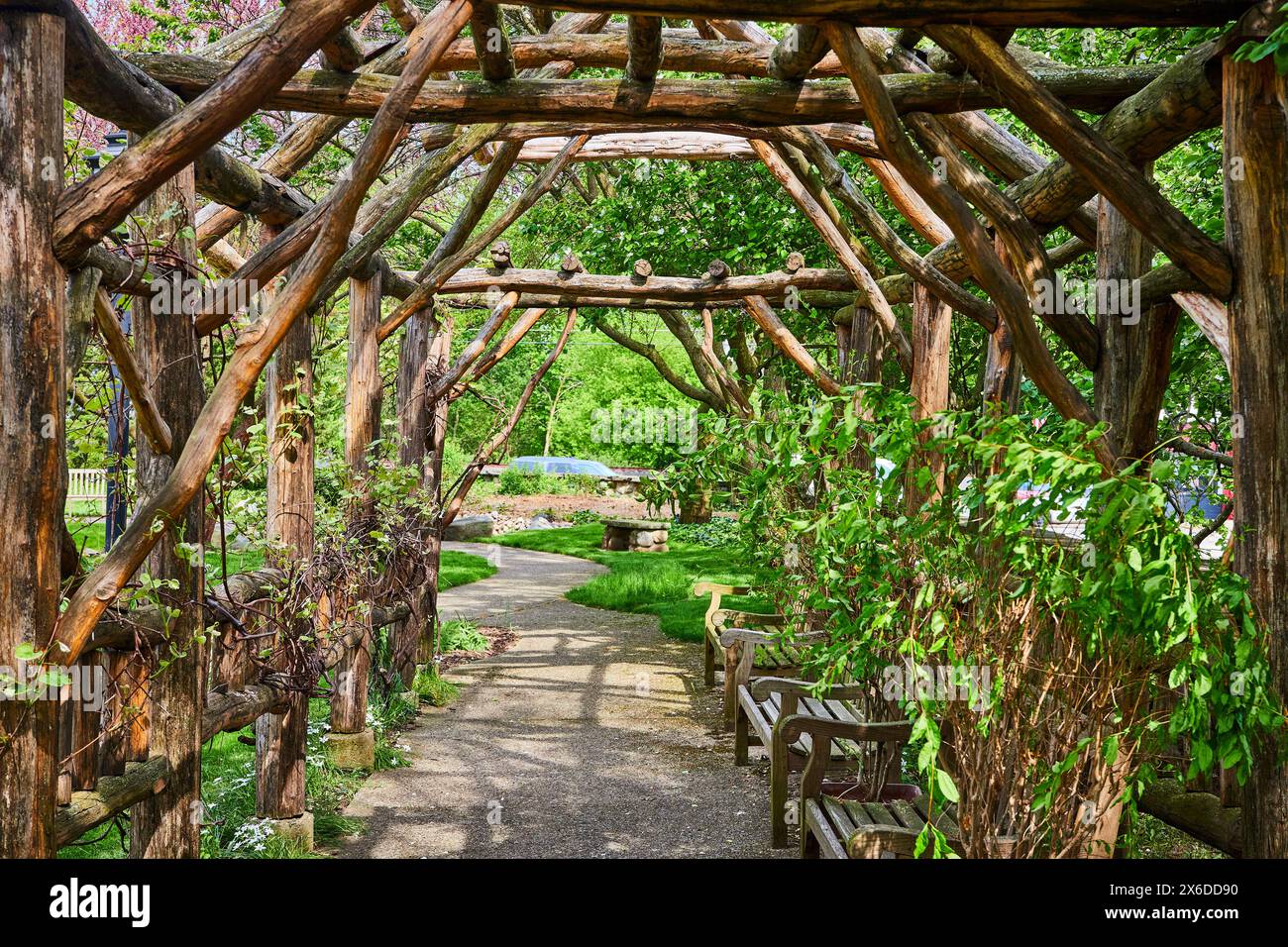 Pergola rustica in legno sul sentiero del giardino, Giardini Biblici di Varsavia Foto Stock