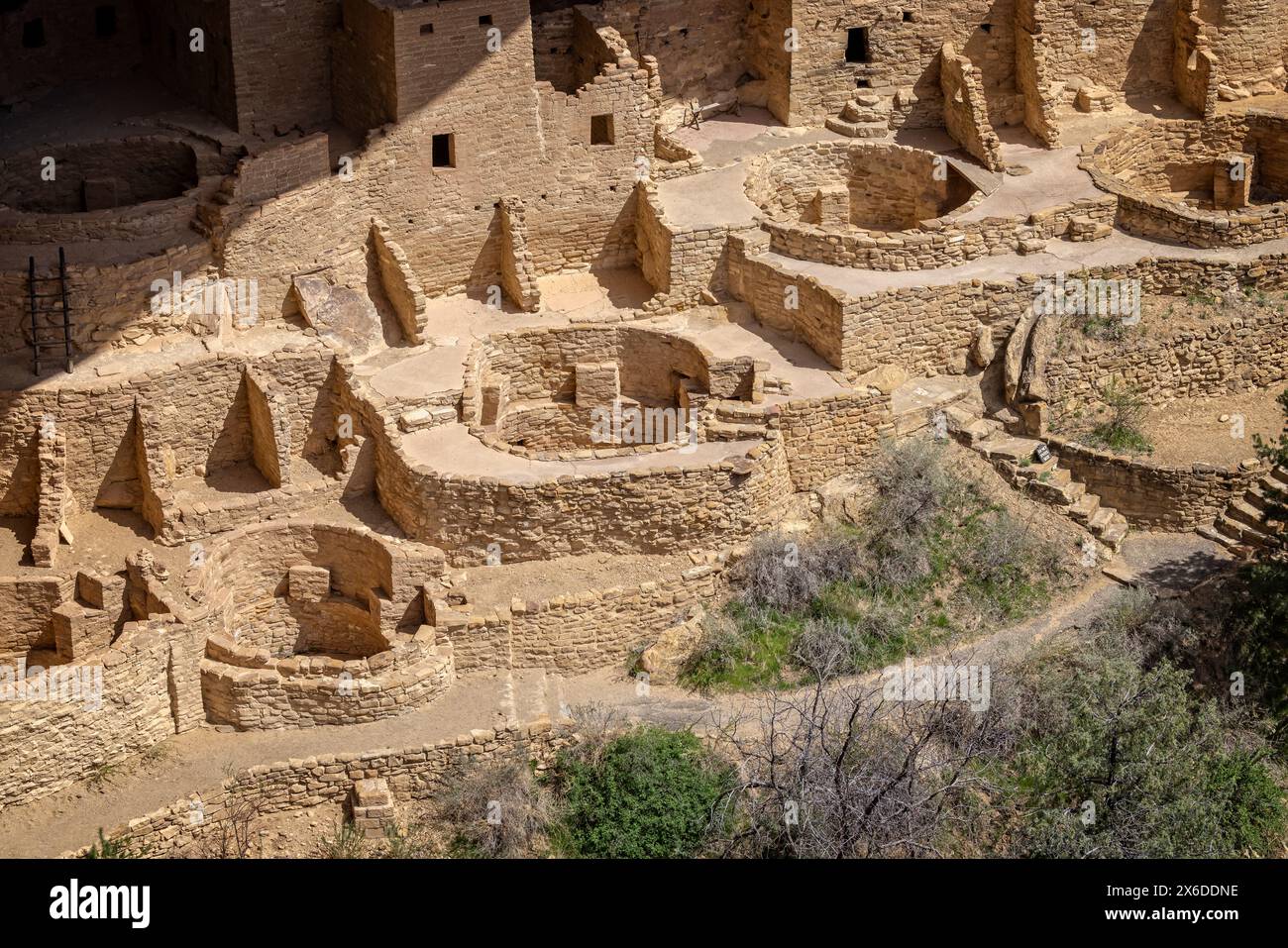 Primo piano di una sezione della scogliera di Cliff Palace nel Mesa Verde National Park, Colorado, USA, il 20 aprile 2024 Foto Stock