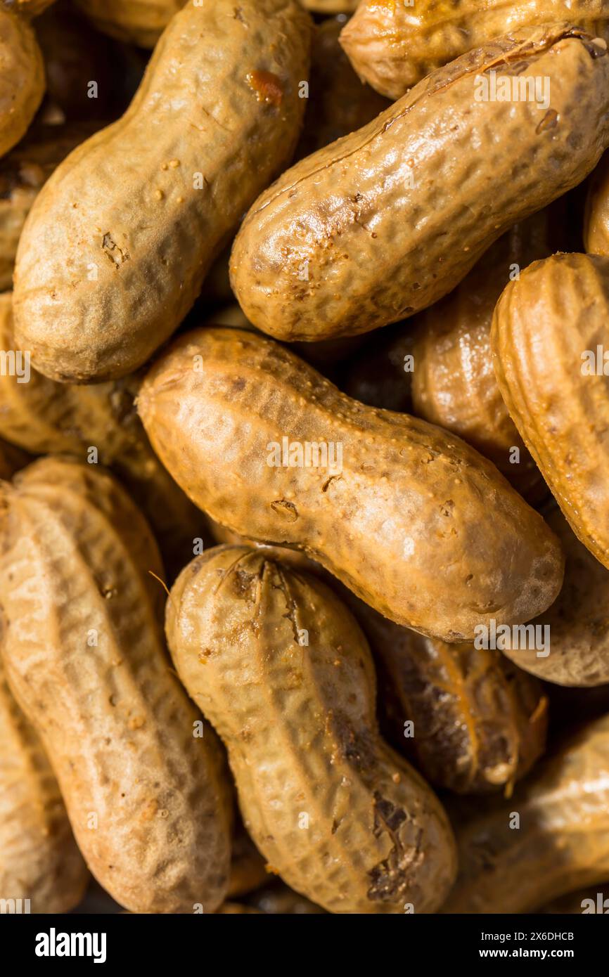 Speziate cajun del sud bollite arachidi per uno spuntino in una ciotola Foto Stock
