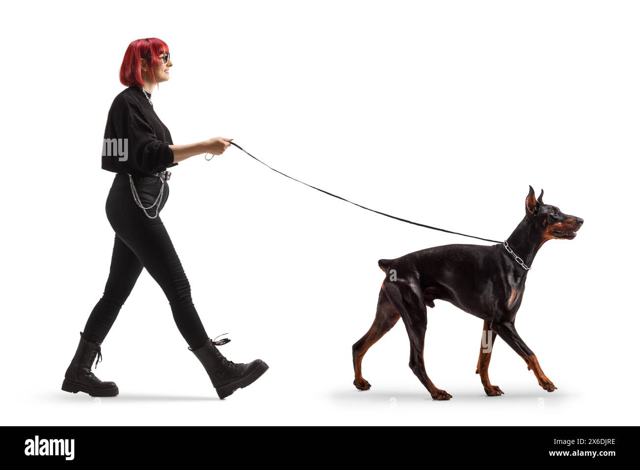 Foto a tutta lunghezza di una donna con i capelli rossi che cammina un cane pinscher doberman isolato su sfondo bianco Foto Stock