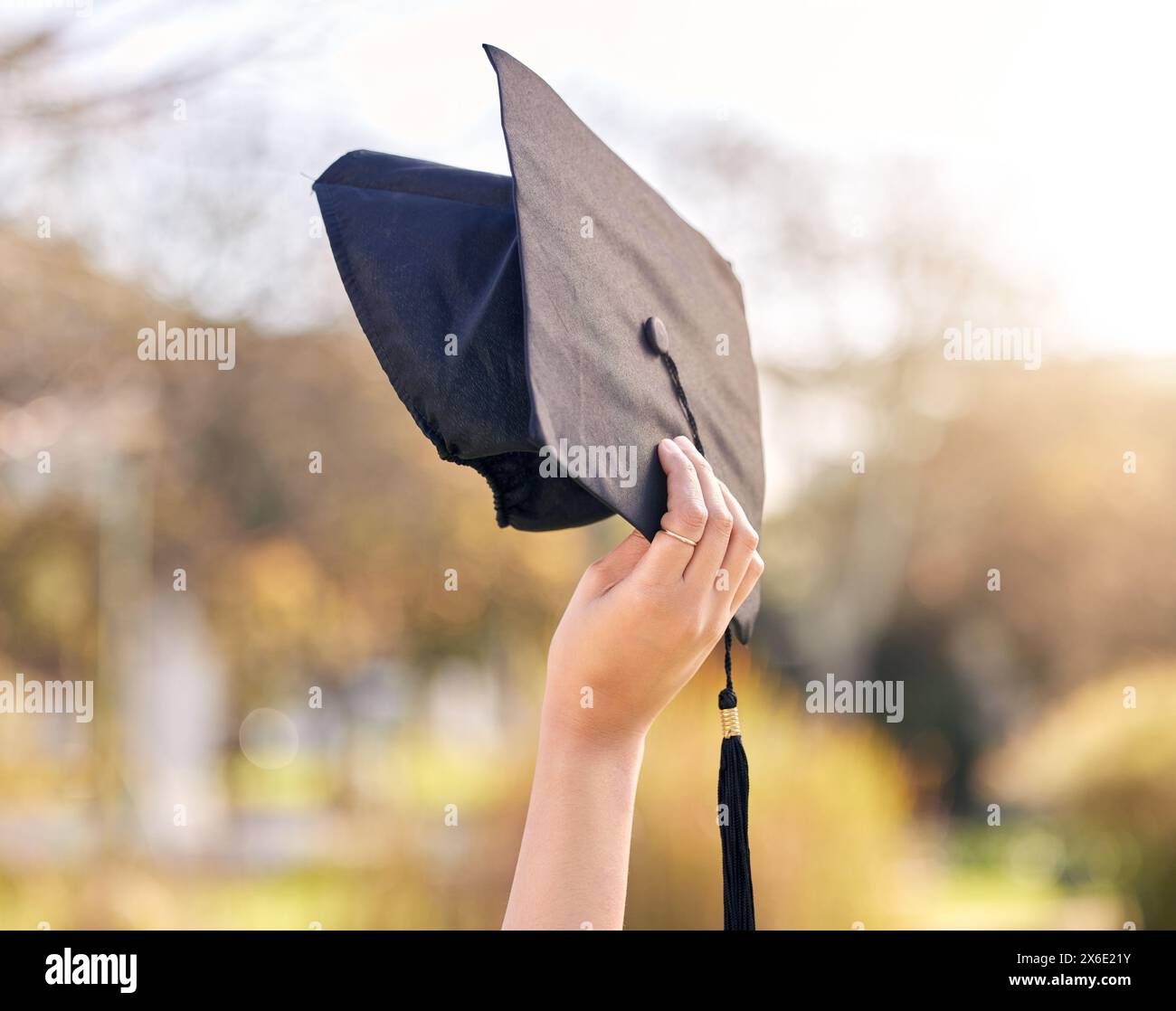 Persona, natura e mano con diploma universitario per l'istruzione, il successo e la crescita accademica. Studente, futuro e celebrazione con cappello a. Foto Stock
