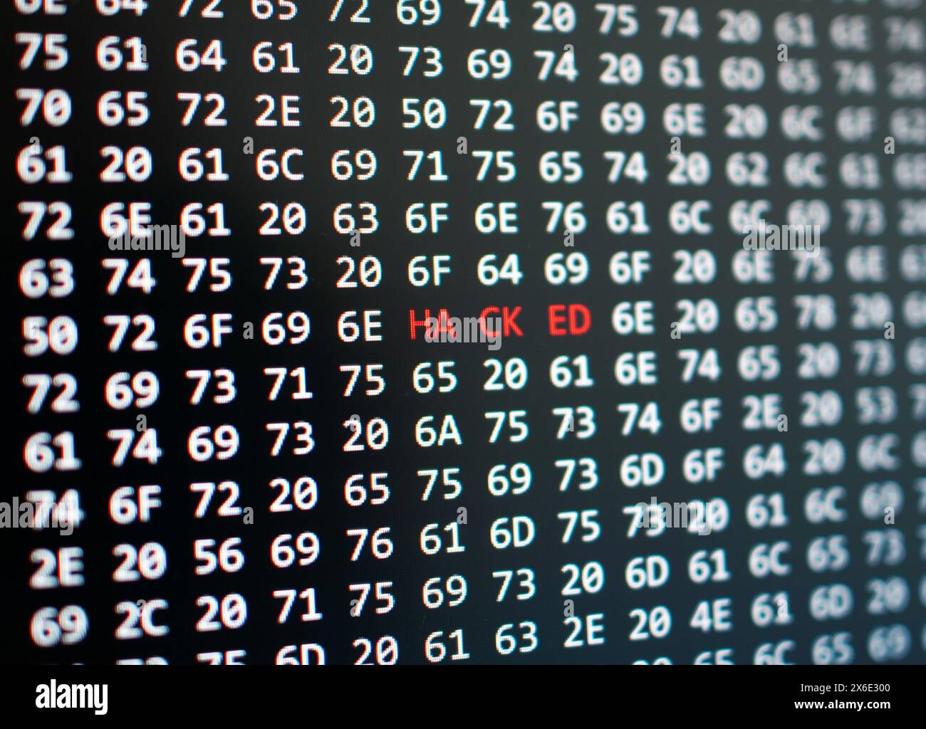 Concetto di violazione della sicurezza digitale, avviso "hackerato" sullo schermo del computer Foto Stock