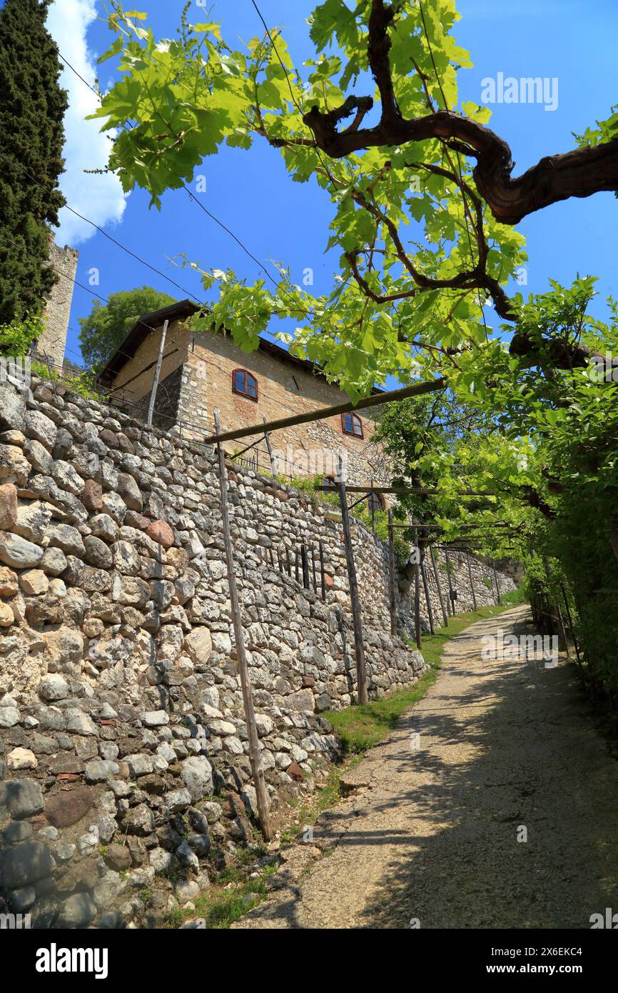 Castello di Avio. Castello di Sabbionara d'Avio, Trentino, Italia. Foto Stock