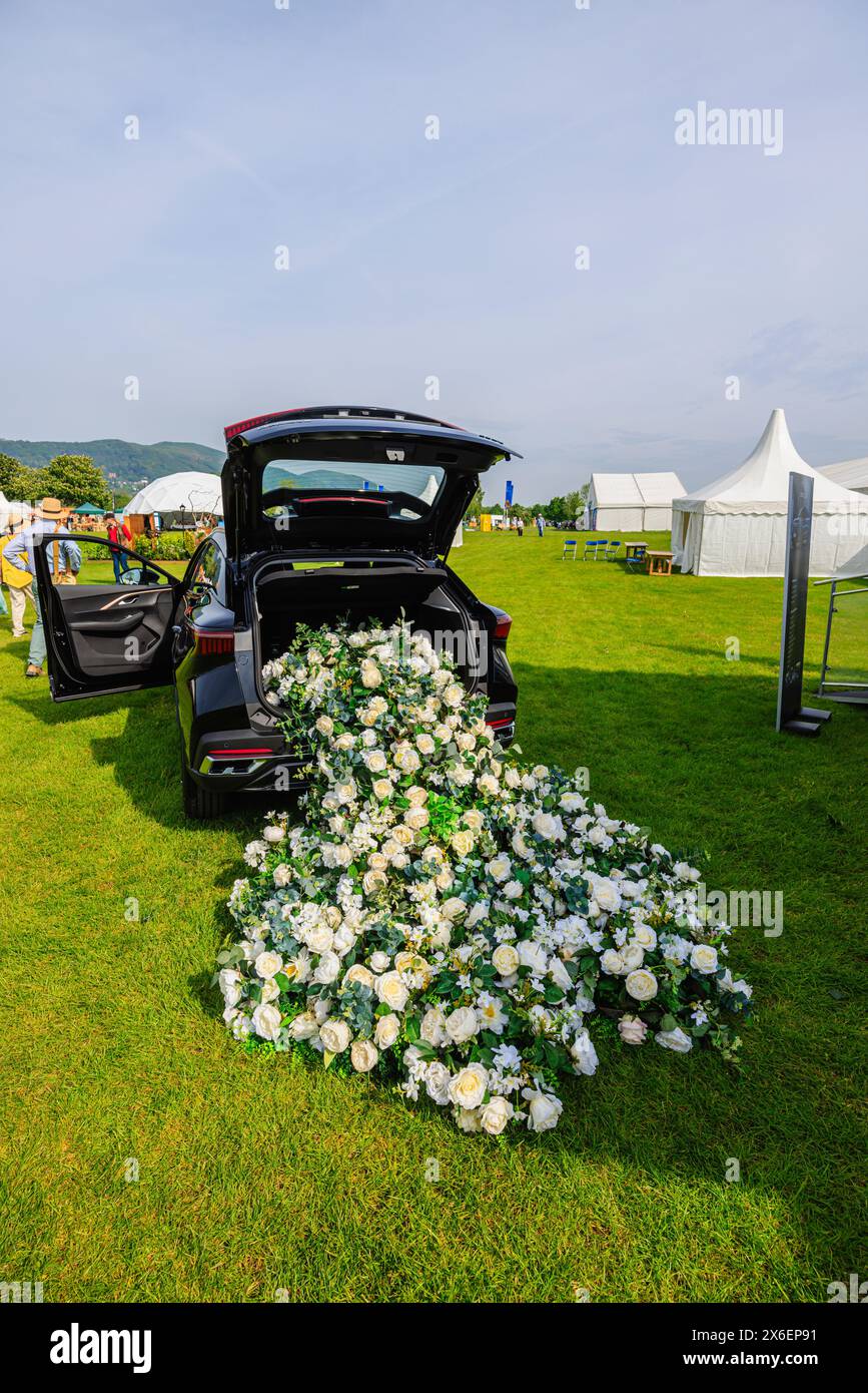 Le cremose rose bianche cadono da un'auto di Chery Omoda in mostra al RHS Malvern Spring Festival al Three Counties Showground di Malvern Foto Stock