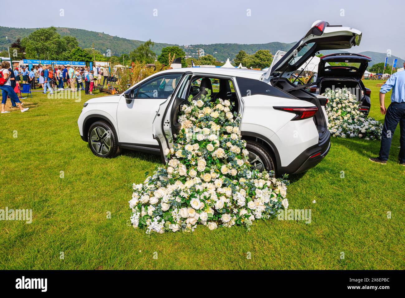 Le cremose rose bianche cadono da un'auto di Chery Omoda in mostra al RHS Malvern Spring Festival al Three Counties Showground di Malvern Foto Stock