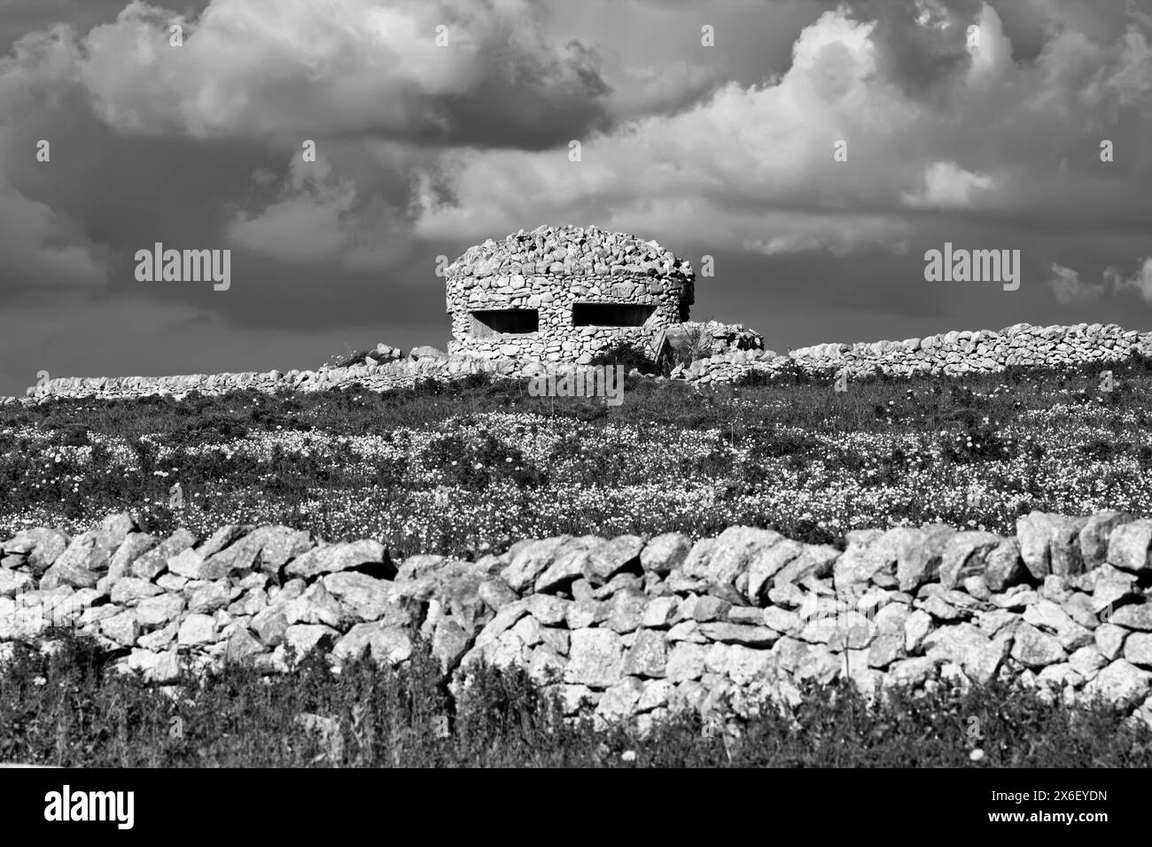 L'Italia, sicilia, Marina di Ragusa, campagna, seconda guerra mondiale bunker tedesco Foto Stock