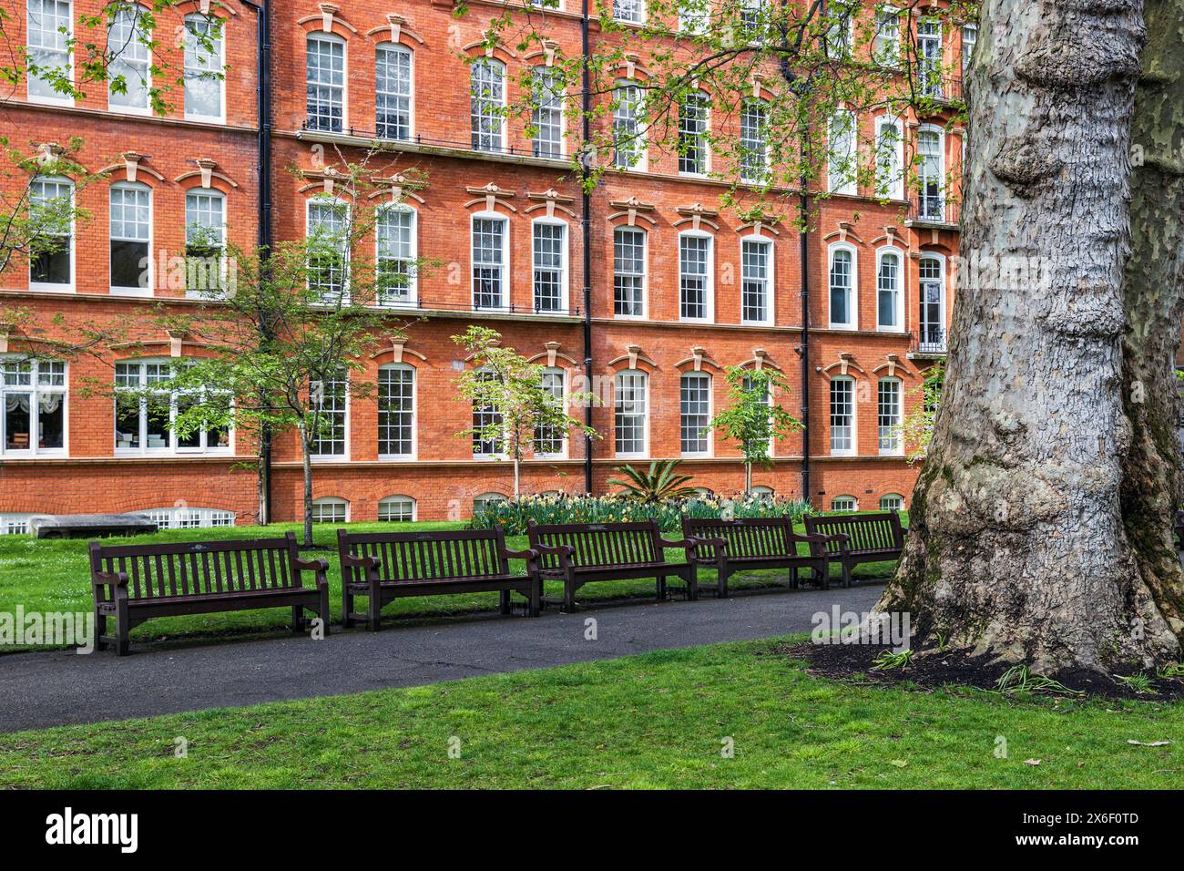 Mount Street Gardens, Londra, lunedì 29 aprile 2024. Foto: David Rowland / One-Image.com Foto Stock