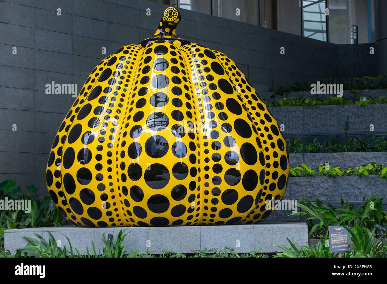 Il creatore dell'artista giapponese Yayoi Kusama, famosa mostra artistica di sculture gialle di zucca di un collezionista privato a Elementum, One-North, Singapore. Foto Stock