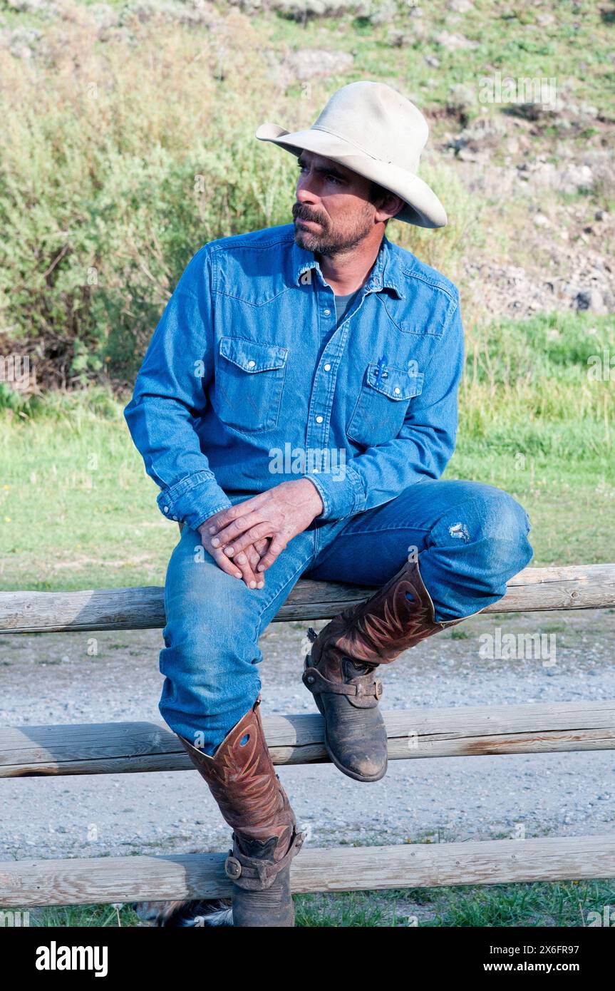 Cowboy del Montana seduto sulla recinzione (MR) Foto Stock