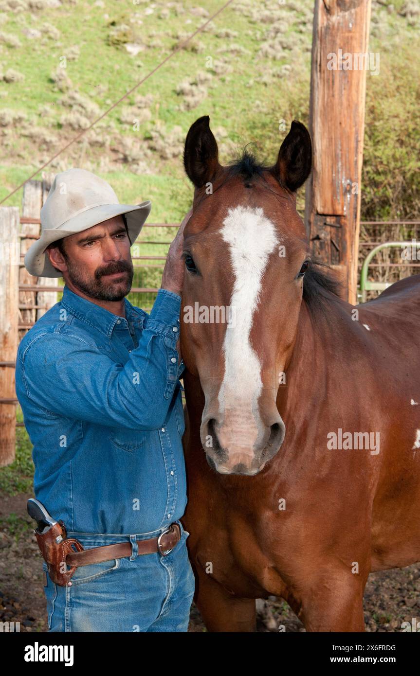 Cowboy del Montana con cavallo (MR) Foto Stock