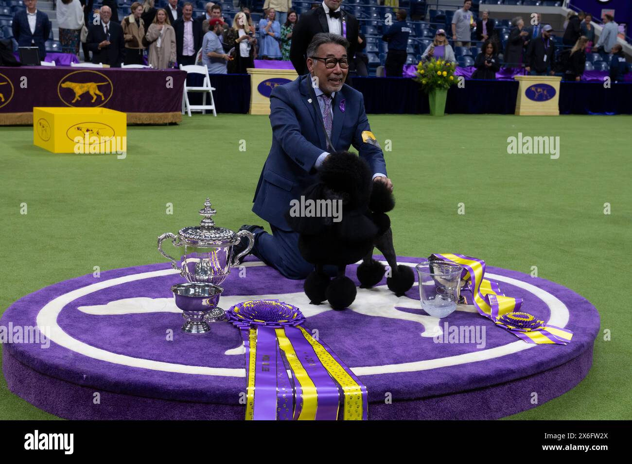 New York, Stati Uniti. 14 maggio 2024. NEW YORK, NEW YORK - 14 MAGGIO: Handler Kaz Hosaka Poise con Surrey Sage, noto anche come "Sage", un barboncino in miniatura da Houston, Texas, nella gara Best in Show durante il 148° Westminster Kennel Club Dog Show presso l'USTA Billie Jean King National Tennis Center nel Queens il 14 maggio 2024 a New York. Crediti: Ron Adar/Alamy Live News Foto Stock