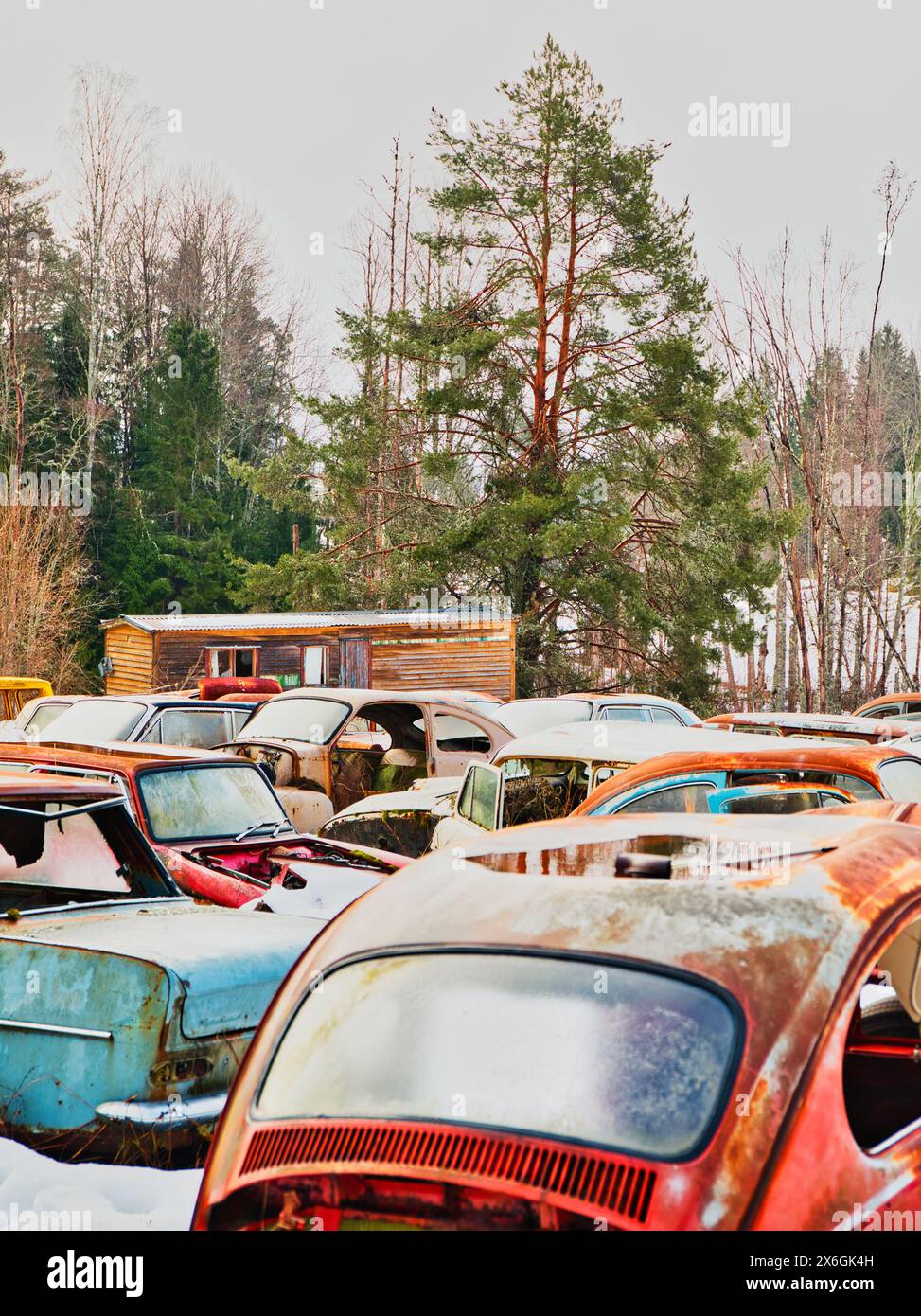 Abbandonata, deserta, trascurata, arrugginita auto d'epoca d'epoca, cimitero delle auto di Bastnas, Varmland, Svezia. Foto Stock