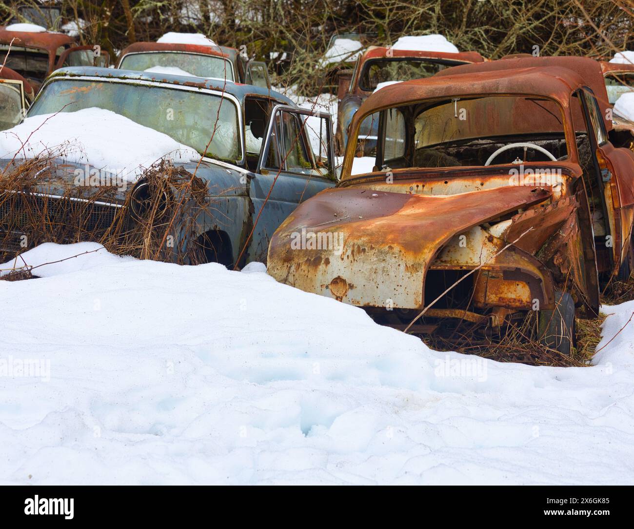 Abbandonata, deserta, trascurata, arrugginita auto d'epoca d'epoca, cimitero delle auto di Bastnas, Varmland, Svezia. Foto Stock