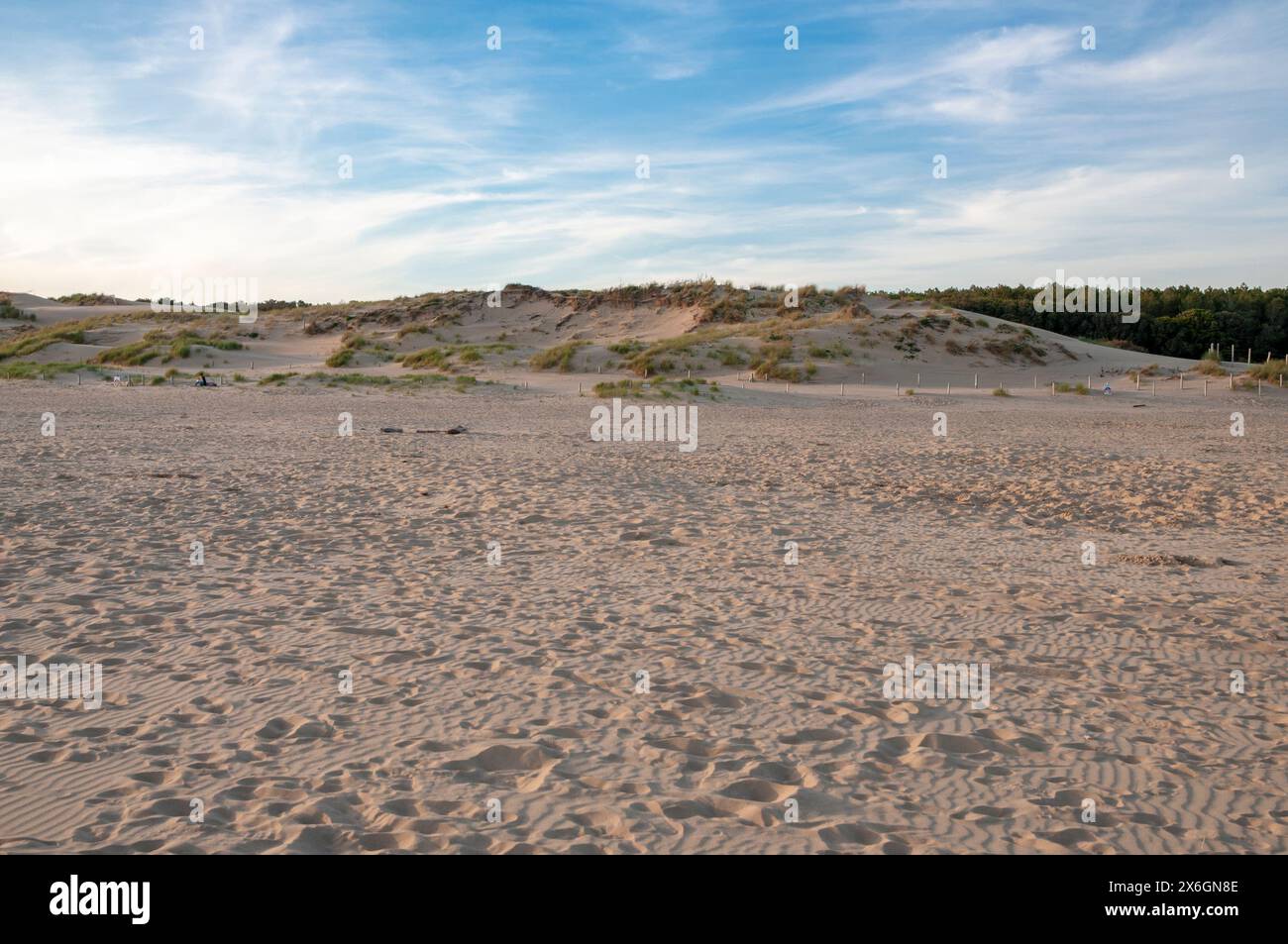 Duna di sabbia, spiaggia di le Veillon, Talmont-Saint-Hilaire, Vendee (85), regione Pays de la Loire, Francia Foto Stock