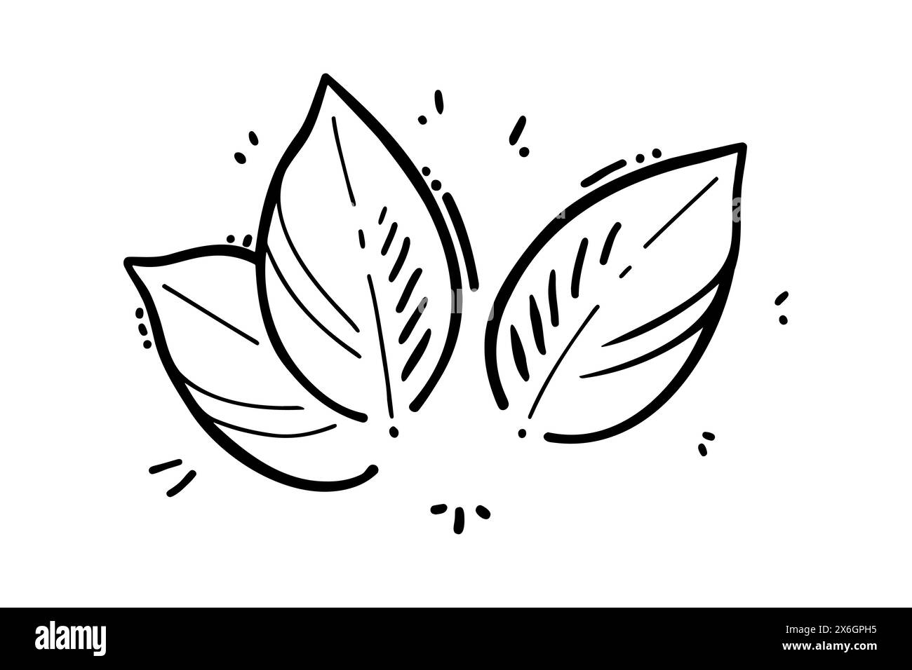 Disegno di scarabocchi stilati con foglie di menta, contorno di foglie impostato, isolato su sfondo bianco. Illustrazione vettoriale Illustrazione Vettoriale