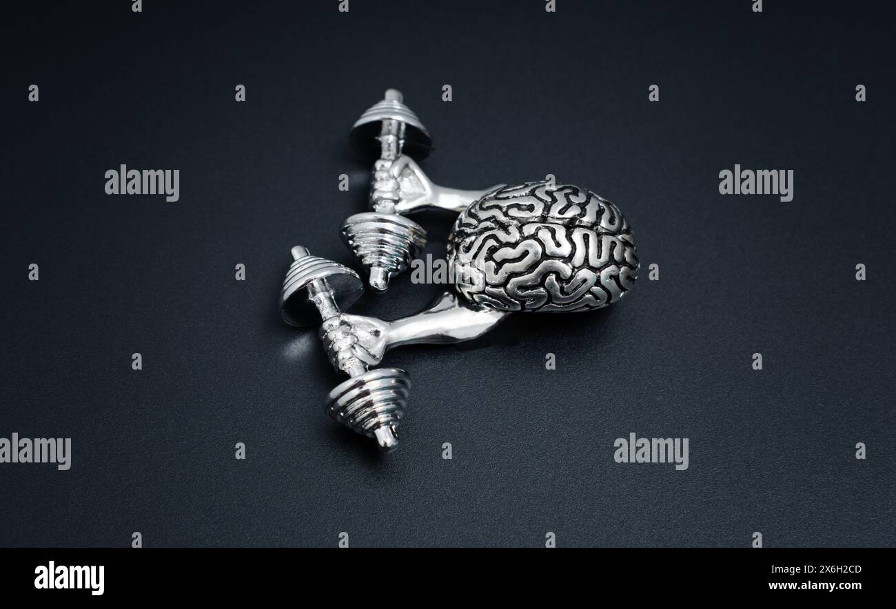 Il modello metallico del cervello umano, dotato di mani, si impegna in una sessione di sollevamento pesi, incarnando il concetto di "mente d'acciaio". Foto Stock