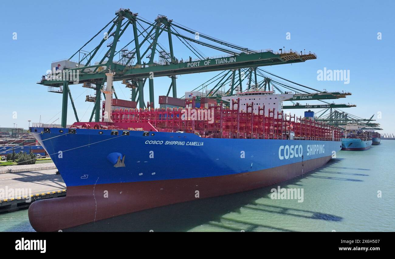 Tianjin. 15 maggio 2024. Una foto aerea del drone scattata il 15 maggio 2024 mostra la nave container COSCO Shipping Camellia ormeggiata al Pacific International Container Terminal del porto di Tianjin nella zona nord della Cina. Mercoledì scorso una nave portacontainer è partita dal porto di Tianjin della Cina settentrionale, segnando l'apertura di una nuova rotta di navigazione tra Tianjin e la costa orientale degli Stati Uniti. Crediti: Zhao Zishuo/Xinhua/Alamy Live News Foto Stock