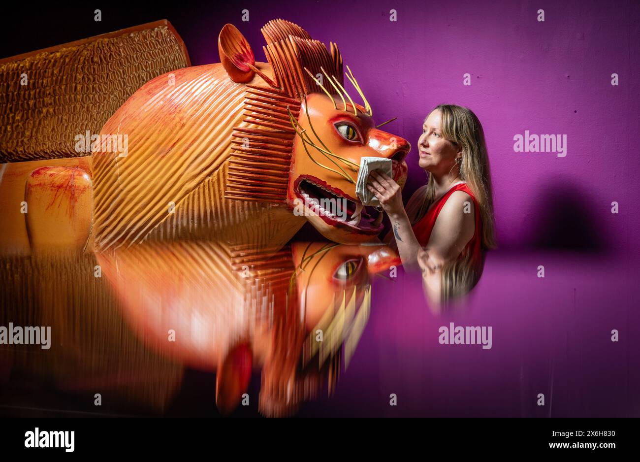 Kat Baxter curatore di archeologia, pulisce una bara a forma di leone (riflessa in un armadietto di vetro) realizzata dal famoso falegname ghanese Paa Joe, noto per la scultura di abebuu adekai, o "proverbi box", che mirano a catturare elementi della vita della persona defunta. La bara fa parte della mostra Living with Death al Leeds City Museum, che esplora i diversi modi in cui le persone sperimentano la morte, la morte e il dolore. Data foto: Mercoledì 15 maggio 2024. Foto Stock