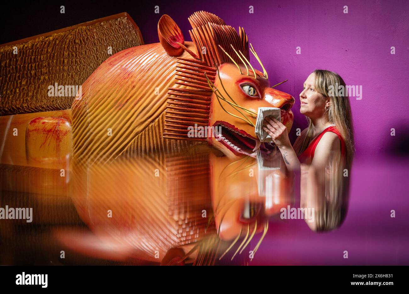 Kat Baxter curatore di archeologia, pulisce una bara a forma di leone (riflessa in un armadietto di vetro) realizzata dal famoso falegname ghanese Paa Joe, noto per la scultura di abebuu adekai, o "proverbi box", che mirano a catturare elementi della vita della persona defunta. La bara fa parte della mostra Living with Death al Leeds City Museum, che esplora i diversi modi in cui le persone sperimentano la morte, la morte e il dolore. Data foto: Mercoledì 15 maggio 2024. Foto Stock