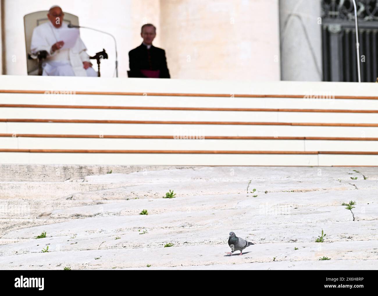 Un piccione cammina di fronte a Papa Francesco mentre conduce l'udienza generale settimanale in piazza San Pietro in Vaticano il 15 maggio 2024. Foto di Eric Vandeville/ABACAPRESS. COM credito: Abaca Press/Alamy Live News Foto Stock