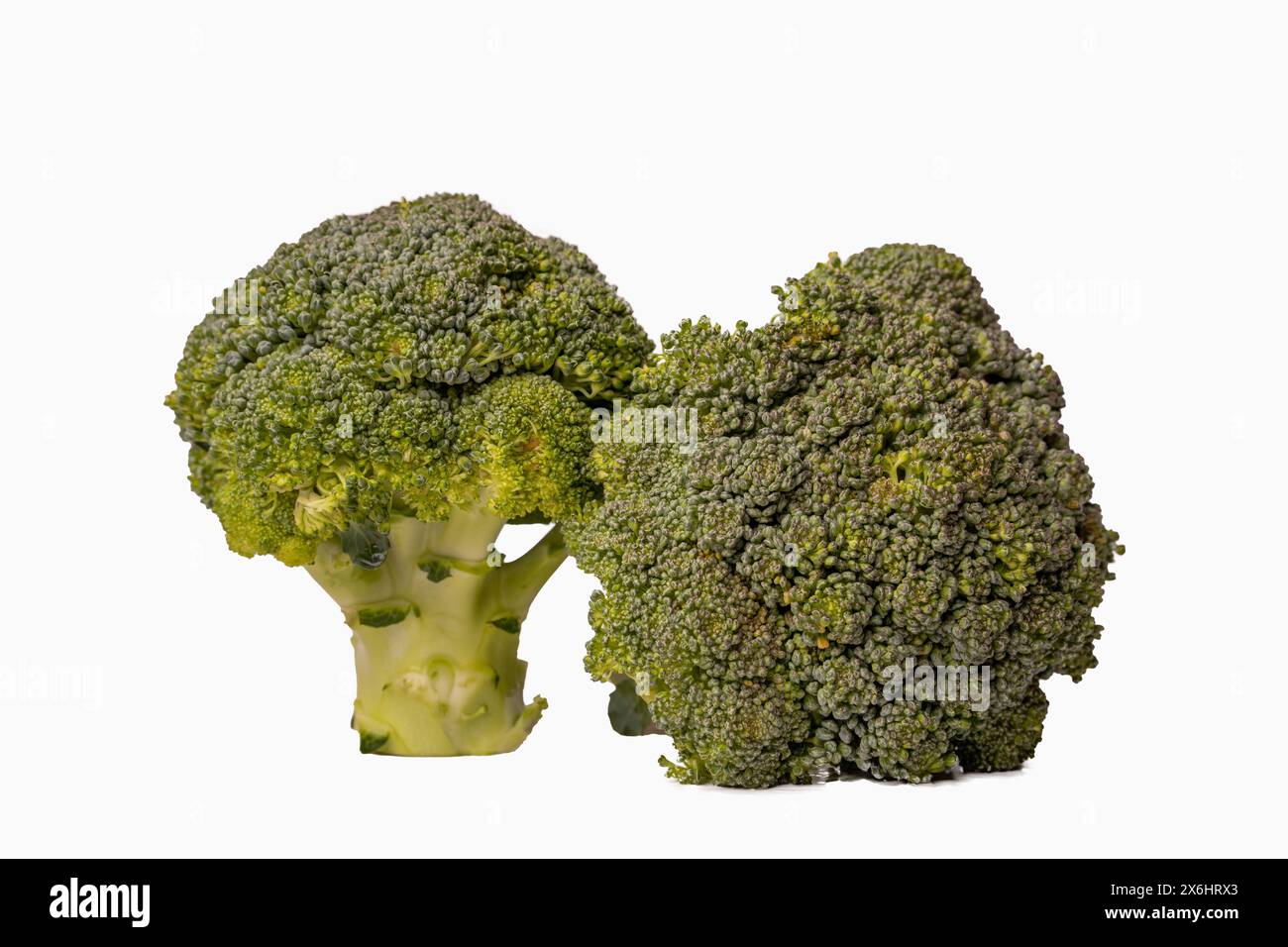 Delizia dei nutrienti: Broccolis in un ambiente bianco sano Foto Stock