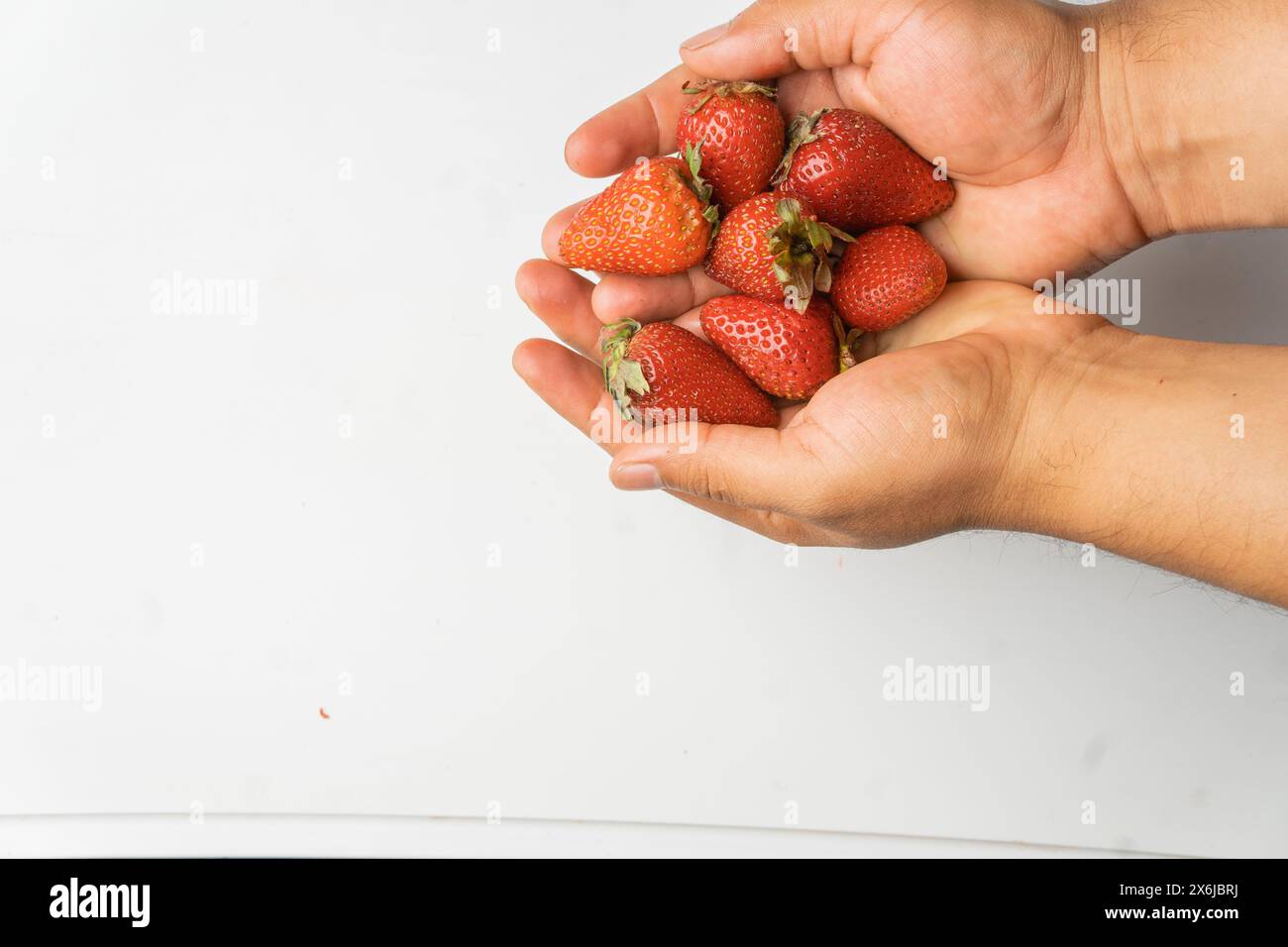 le mani dell'uomo tengono fresche fragole organiche su uno sfondo bianco neutro Foto Stock