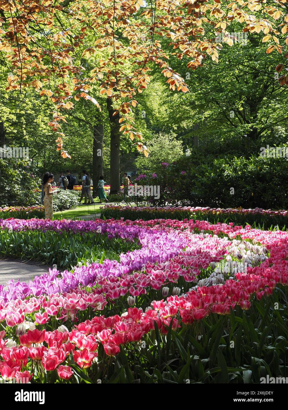 Keukenhof Gardens Springtime in Olanda Foto Stock