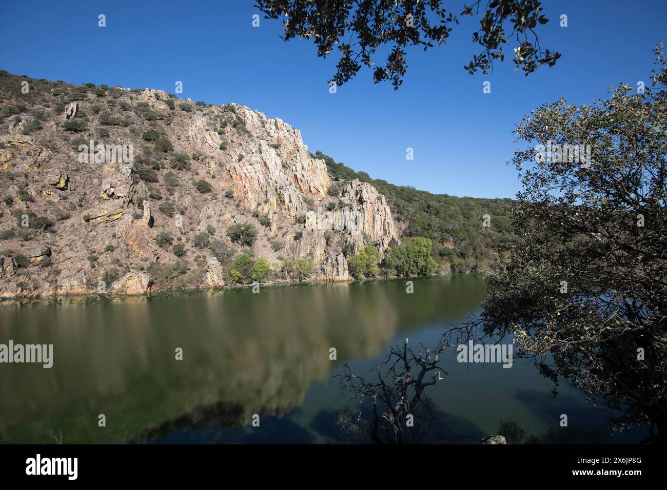 Corso fluviale nel Parco Nazionale Monfraguee, Estremadura, Castilla la Mancha, Spagna Foto Stock