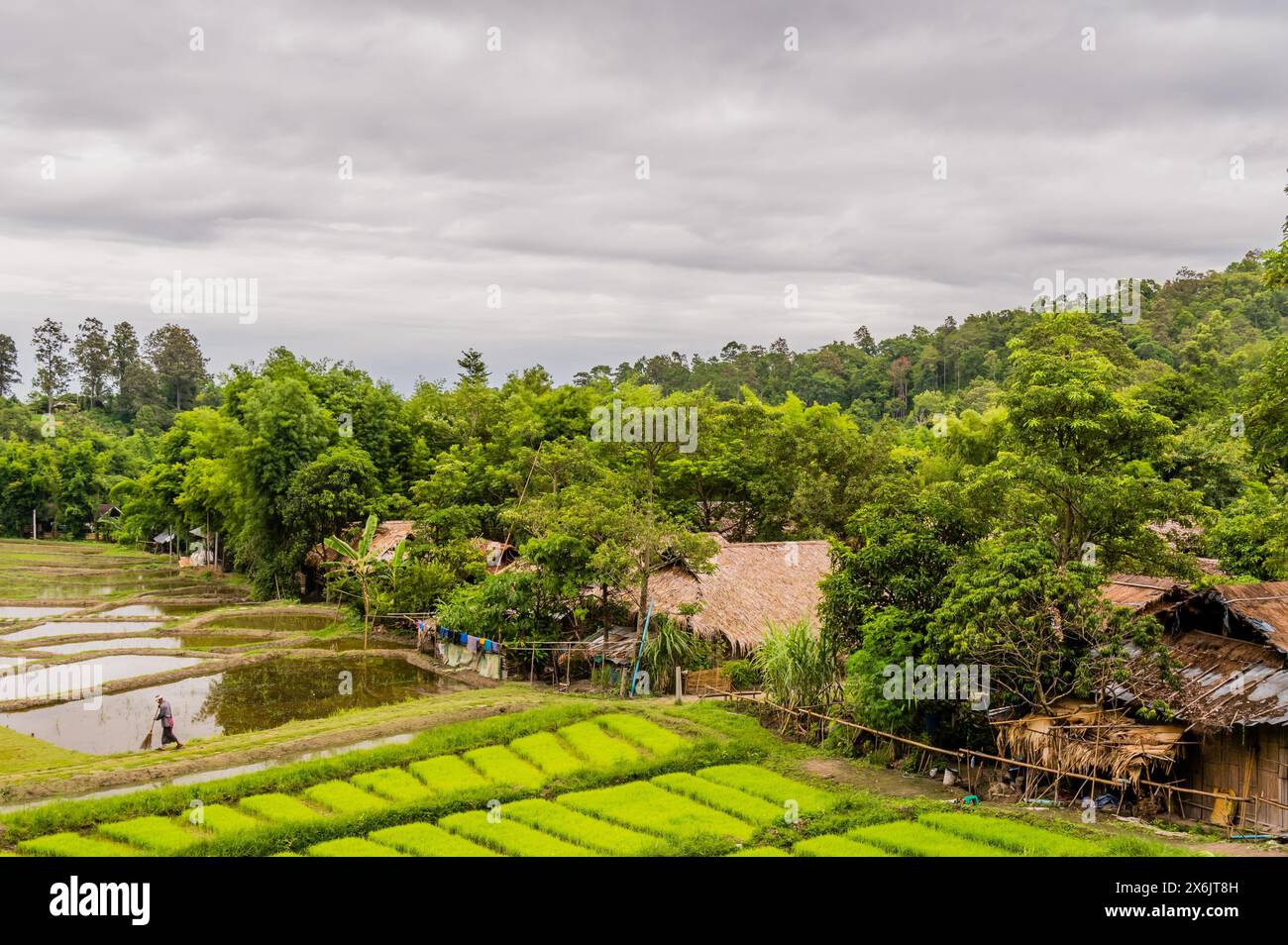 Paesaggio di Five Hill Traibes Village House e risaie con un uomo non identificato che lavora nei campi in Thailandia Foto Stock
