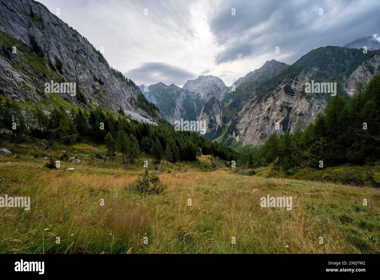 Paesaggio montano con cime rocciose e foresta di montagna, vista sulla valle del Wolayer, la cresta principale del Carnico, le Alpi Carniche, la Carinzia, l'Austria Foto Stock