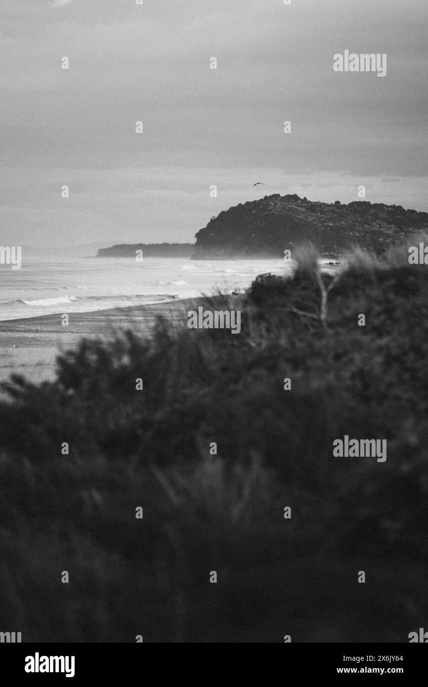 Foto in bianco e nero sulla spiaggia al tramonto, paesaggio roccioso e un gabbiano in volo sullo sfondo. Preso a Waihi Beach in nuova Zelanda Foto Stock