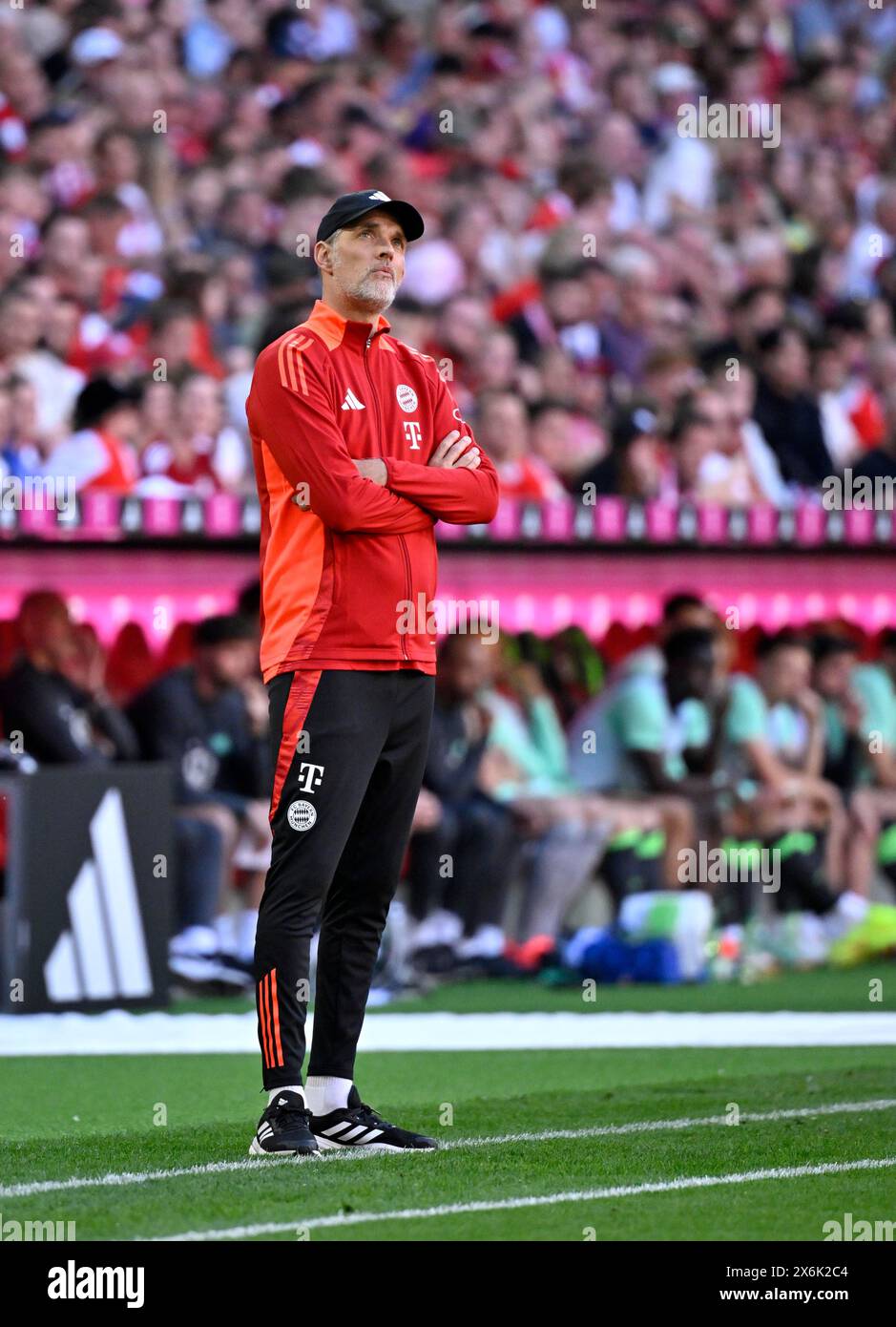 Coach Thomas Tuchel FC Bayern Munich FCB a margine, Looking up, Allianz Arena, Monaco, Baviera, Germania Foto Stock