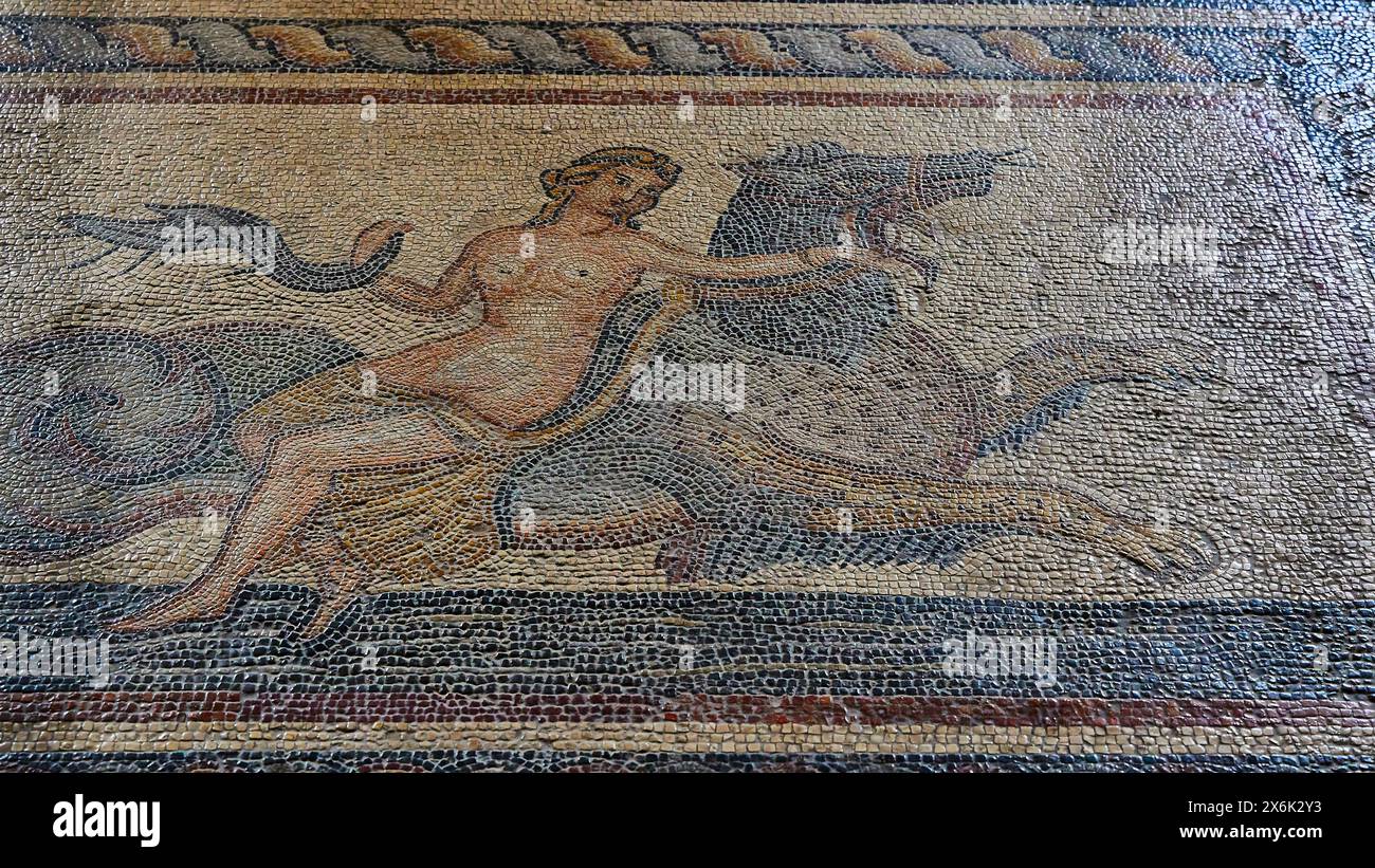 Mosaico antico di una figura mitologica su una creatura mitica, un nereide che cavalca un ippocampo, vista interna, Palazzo del Gran Maestro, città dei Cavalieri Foto Stock