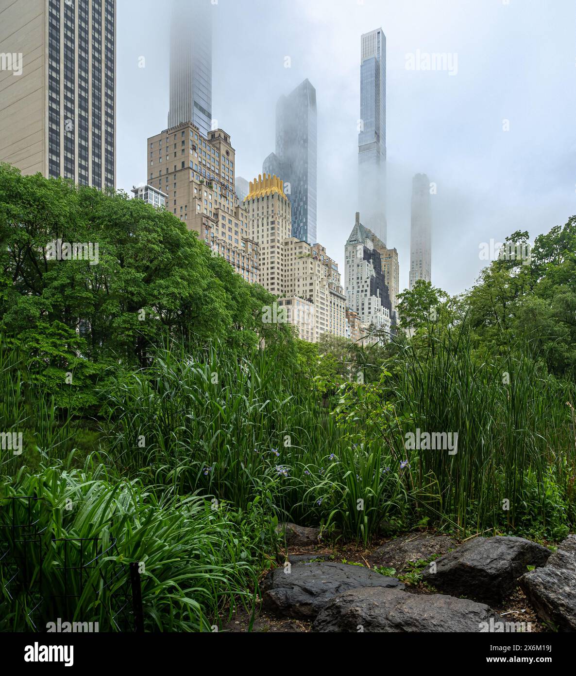 Primavera a Central Park, New York City, una mattina nebbiosa che piove Foto Stock