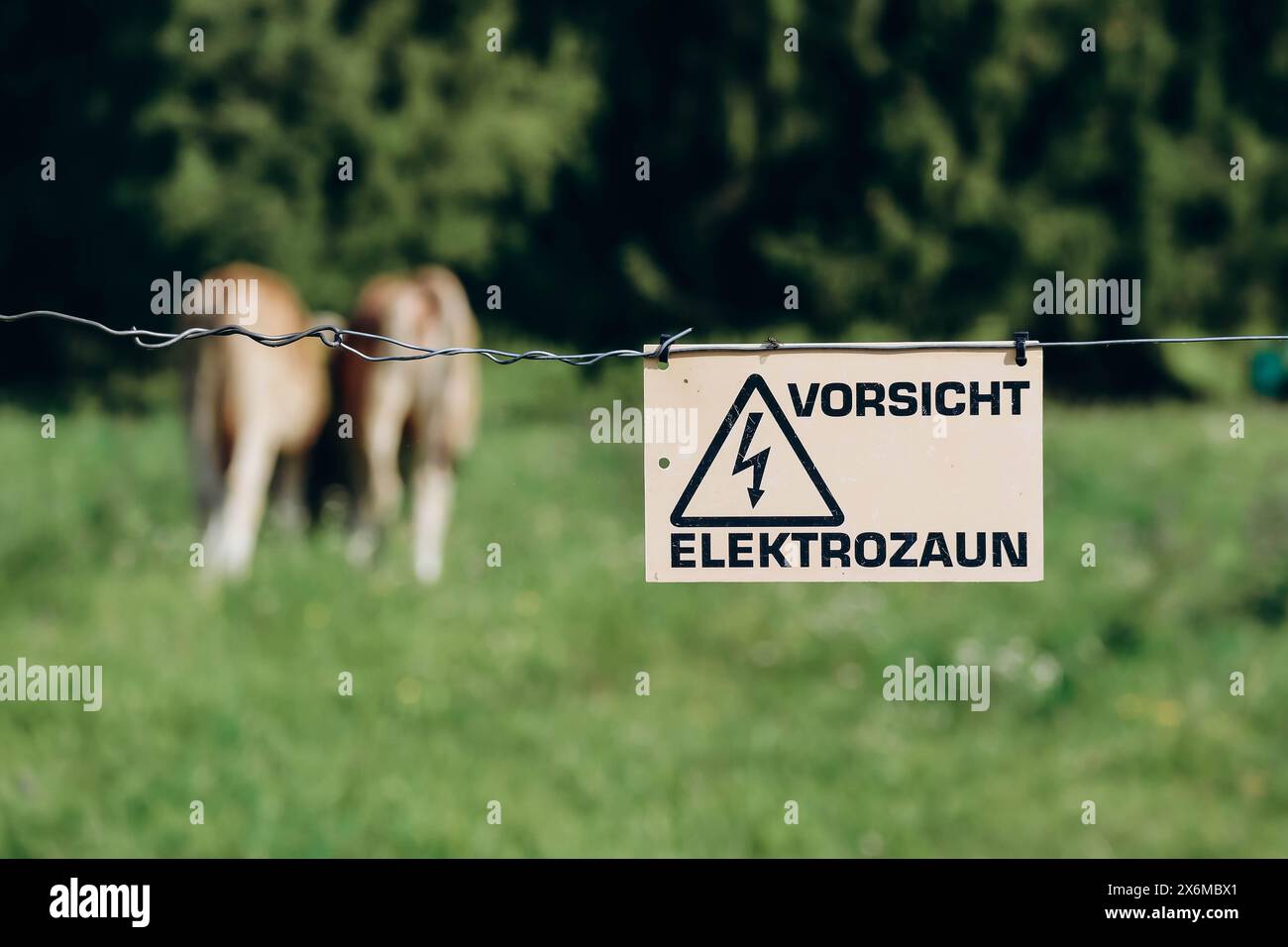 Cartello segnaletico recinzione elettrica "attenzione alla recinzione elettrica", Baviera, Germania Foto Stock