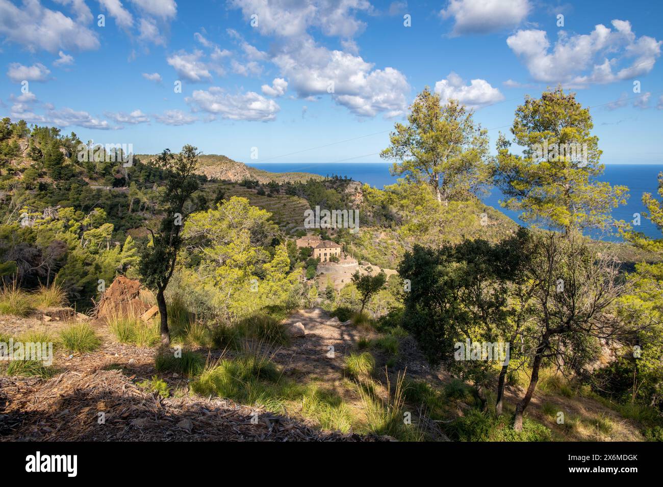 I monti Tramuntana tra Valldemossa e Banyalbufar, Serra de Tramuntana, Maiorca, Isole Baleari, Mediterraneo, Spagna Foto Stock